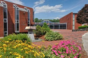 Brandeis Library